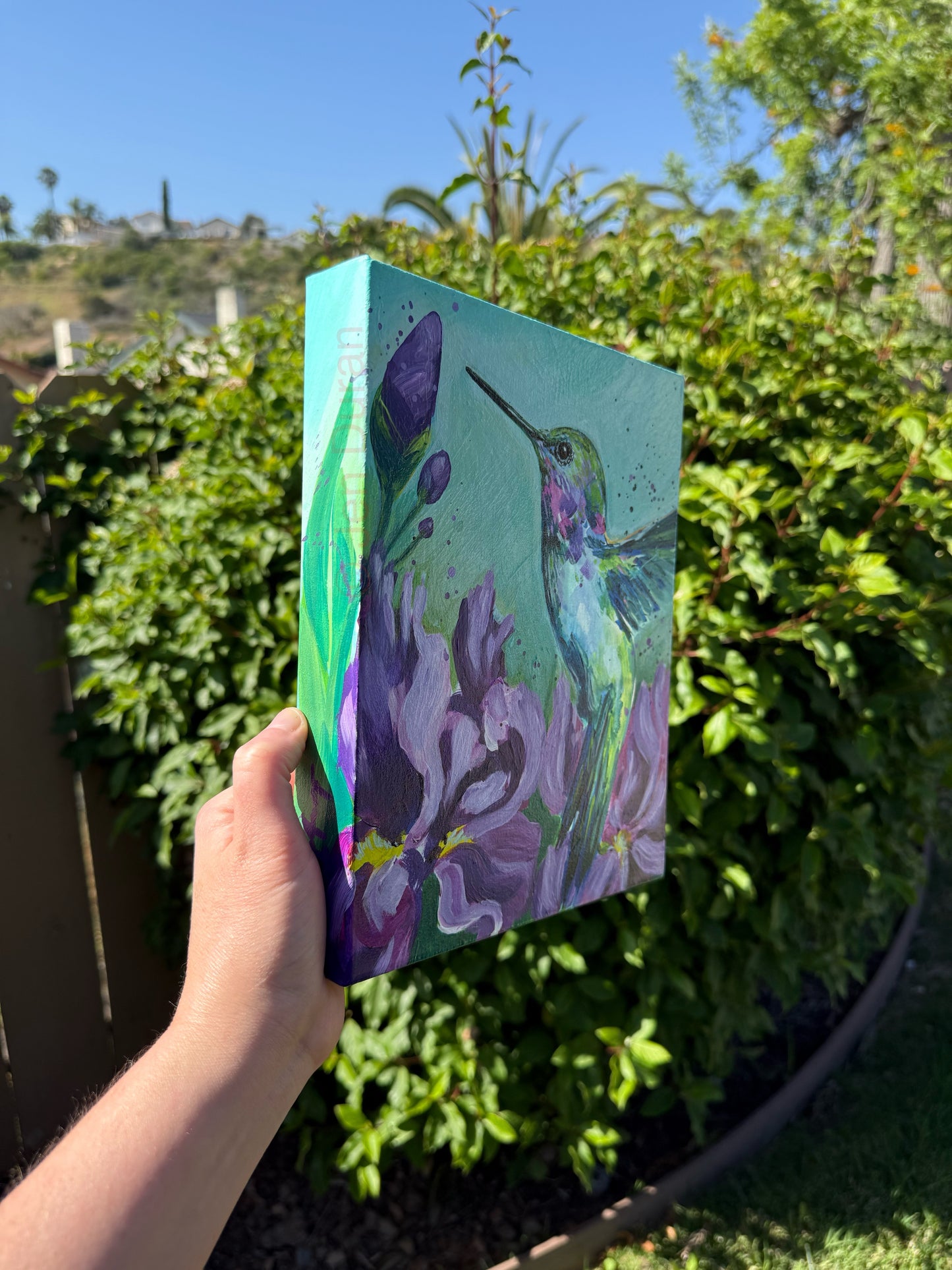 Hummingbird w/ Irises - Original Painting