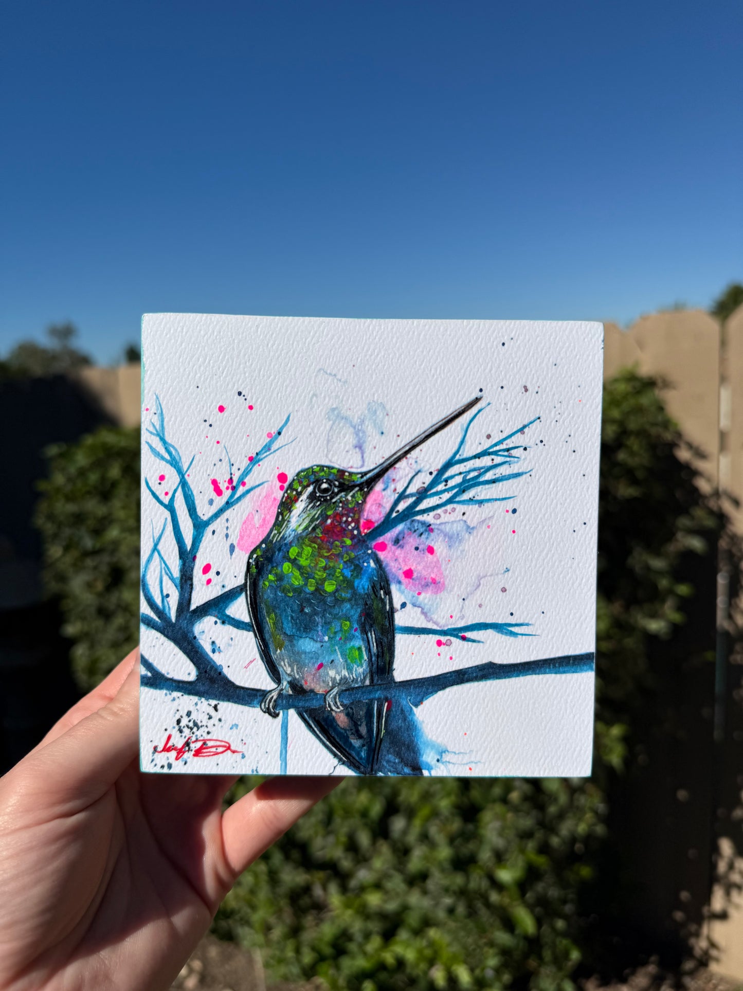 "Blue Hummingbird" Wood Panel Print