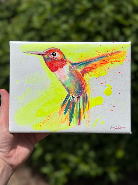 Original Hummingbird Sketch #1