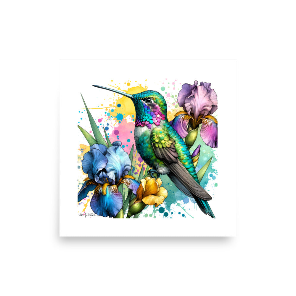 Matte Paper Print - Colorful Hummingbird Design