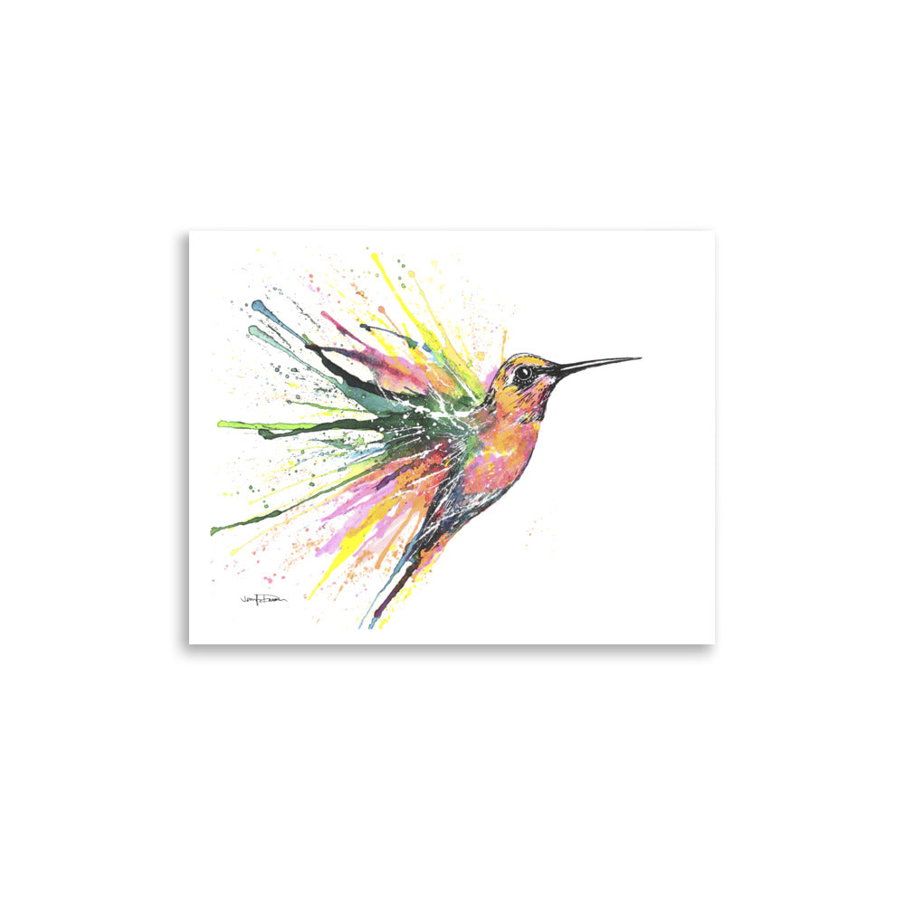 "Rainbow Hummingbird Splash" - Fine Art Print