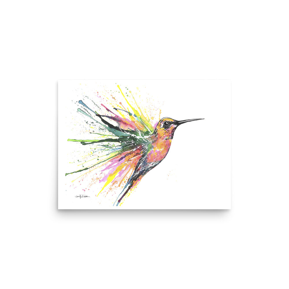 "Rainbow Hummingbird Splash" - Fine Art Print