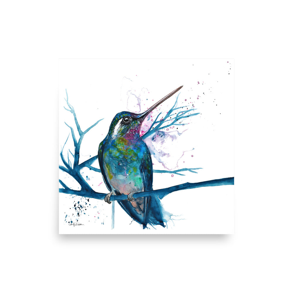 "Blue Hummingbird" - Fine Art Print