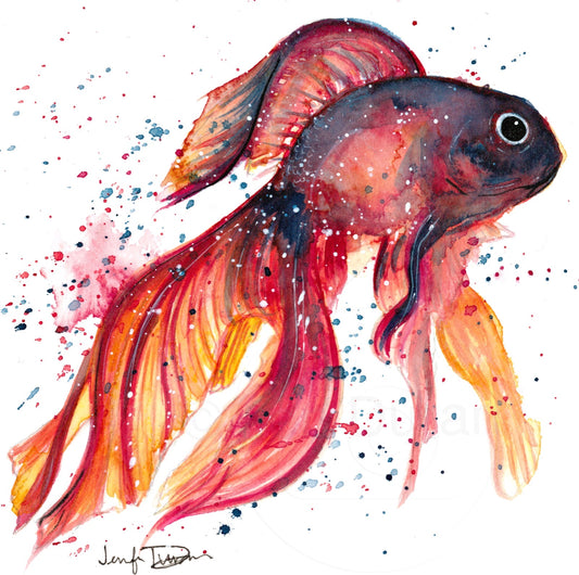 "Red Betta Fish" Giclée Canvas Print
